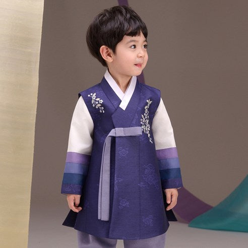 Boys Hanbok Korea Traditional Clothes Deep Blue